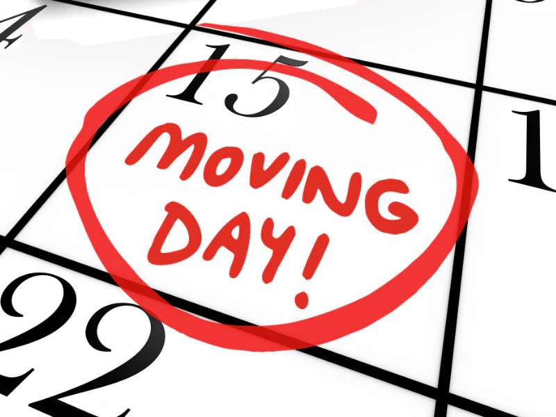 Tame the Moving Day Chaos